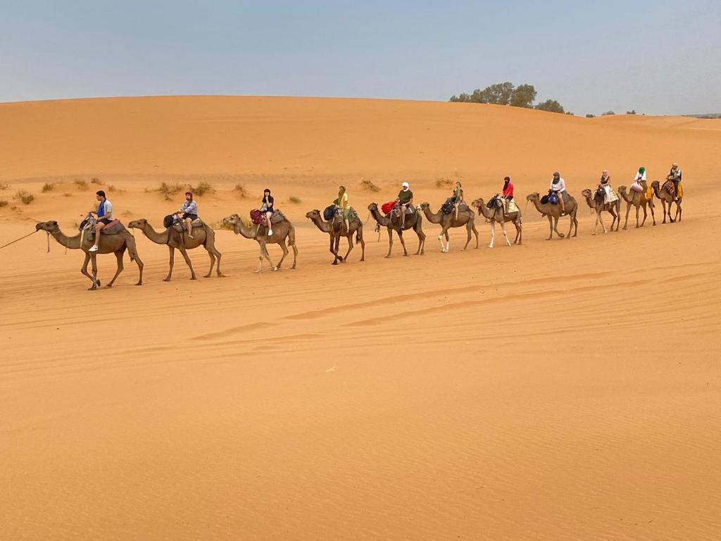 Hotel Kasbah Fenguig